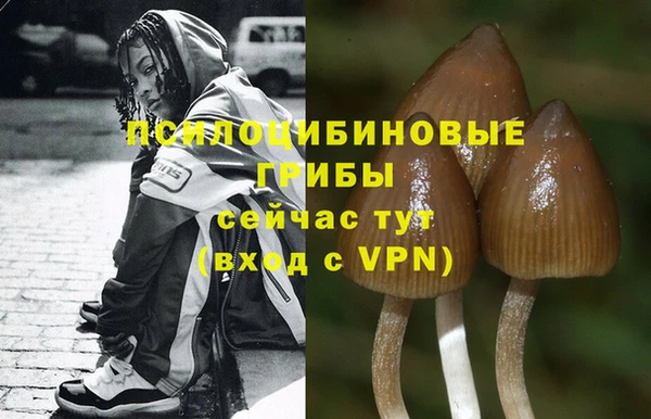 мдма Козловка