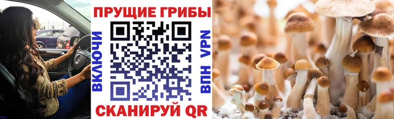 Псилоцибиновые грибы MAGIC MUSHROOMS Сызрань